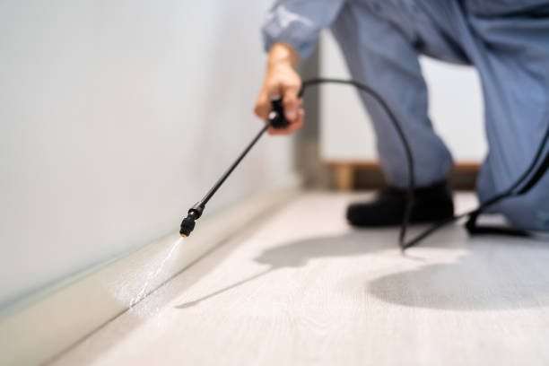 Licensed Fumigation Services service in Henry County County, IA - Nex Pest Control